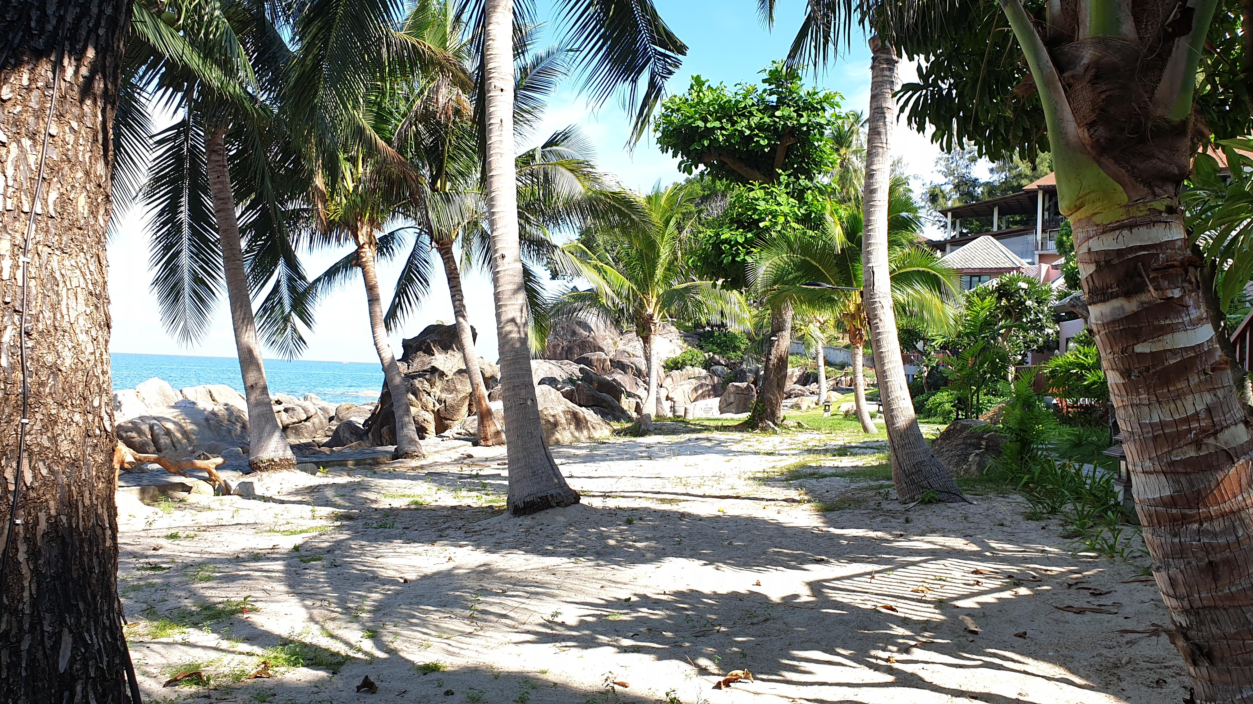 Merit Wellness & Mind Retreat Resort Samui Κο Σαμούι Εξωτερικό φωτογραφία
